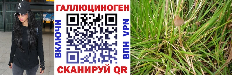 Псилоцибиновые грибы прущие грибы  Купить  Новосиль 